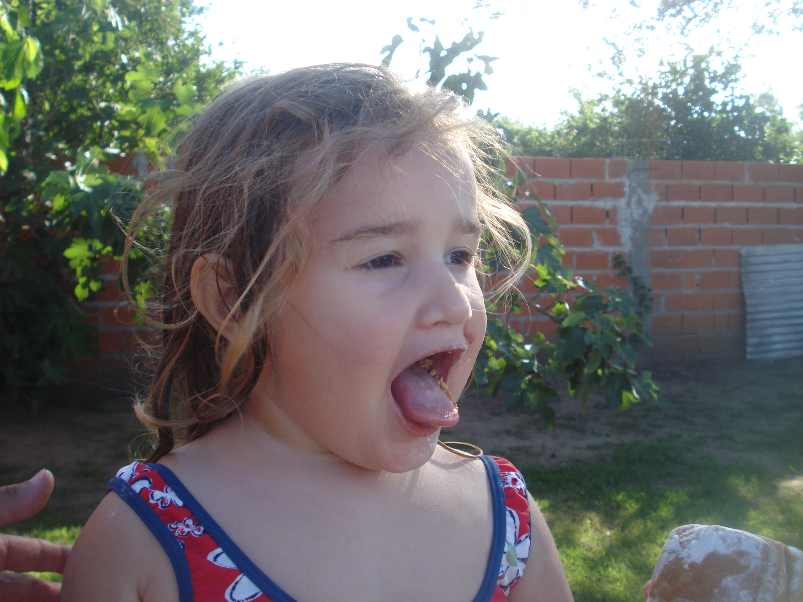 fotos/2012-12-24 - Navidad y pileta/DSC05048.JPG